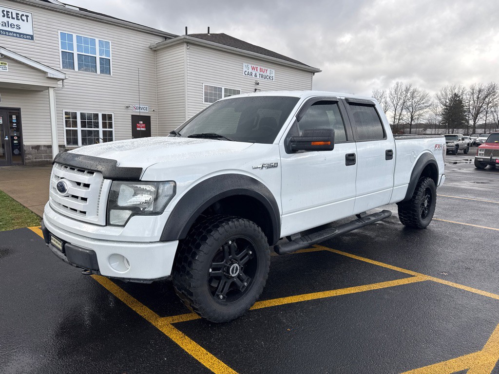 2010 Ford F-150 Image 2