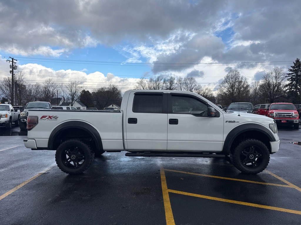 2010 Ford F-150 Image 5