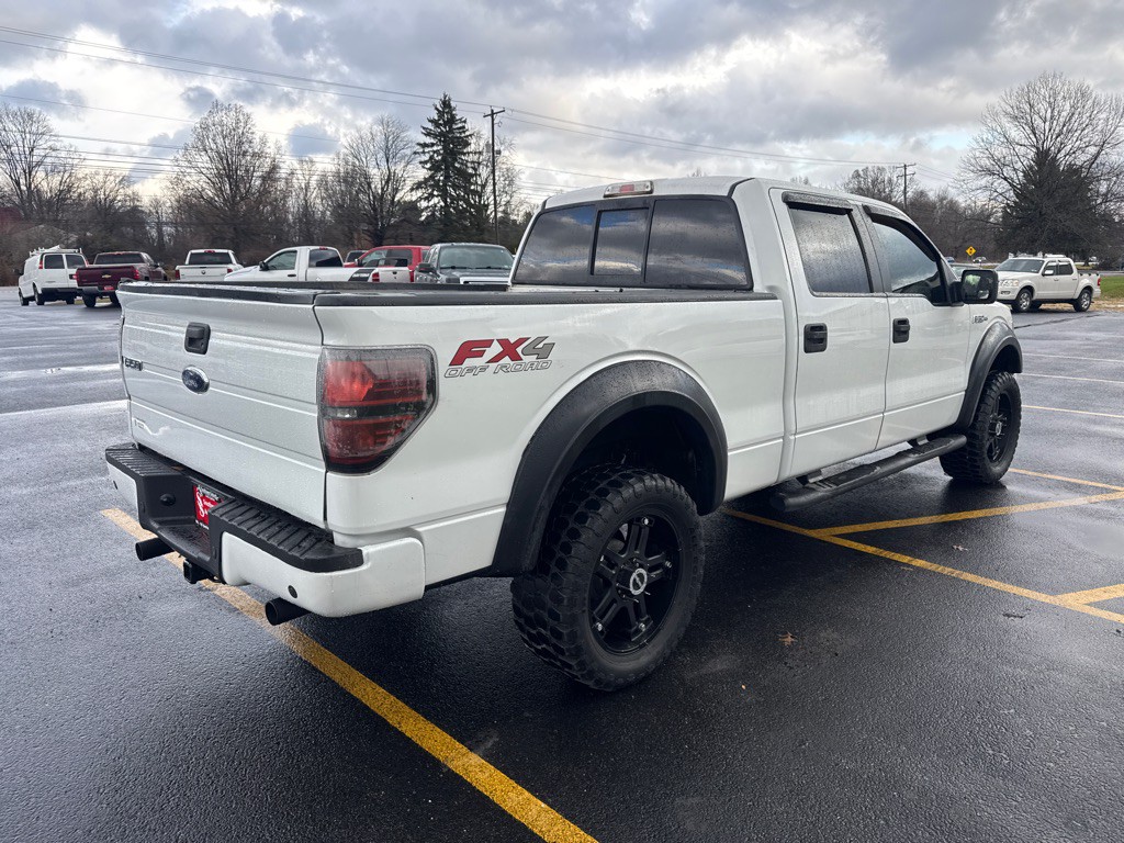 2010 Ford F-150 Image 6