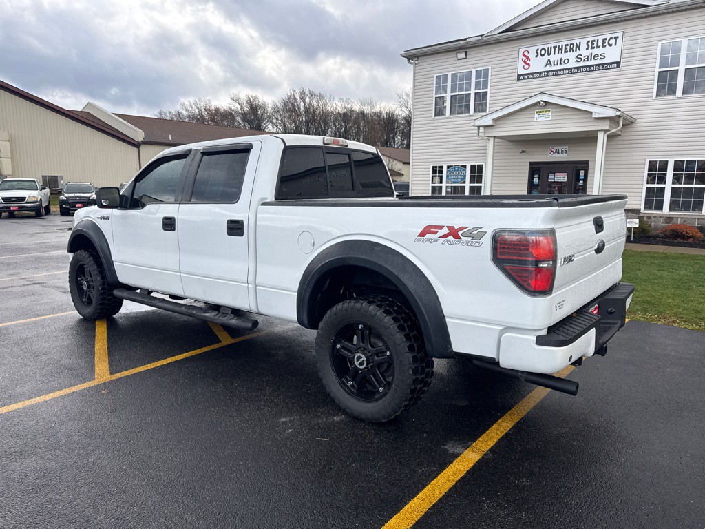 2010 Ford F-150 Image 8