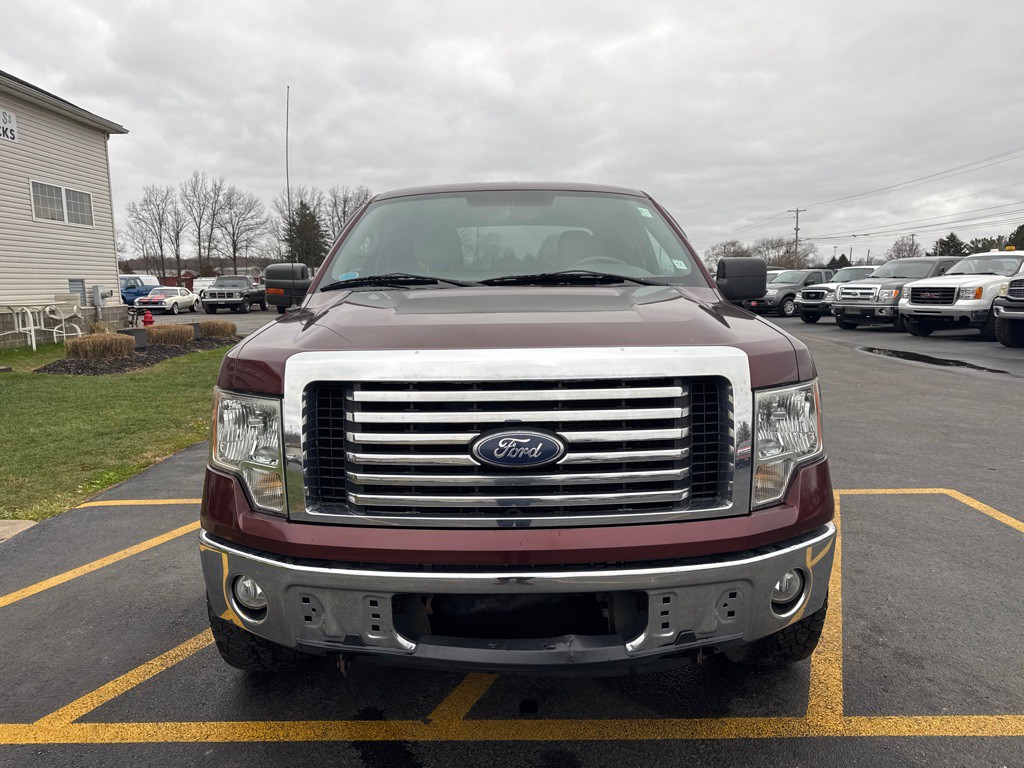 2010 Ford F-150 Image 3