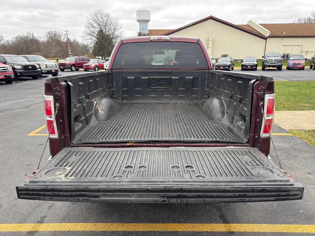 2010 Ford F-150 Image 8