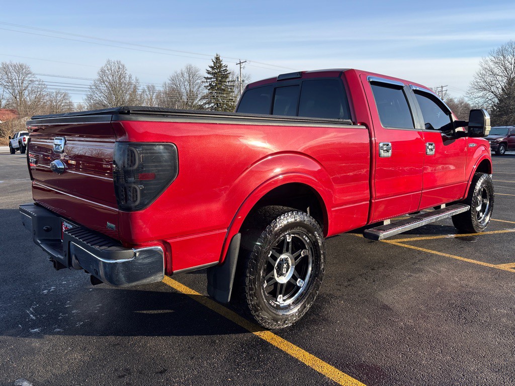 2010 Ford F-150 Image 6