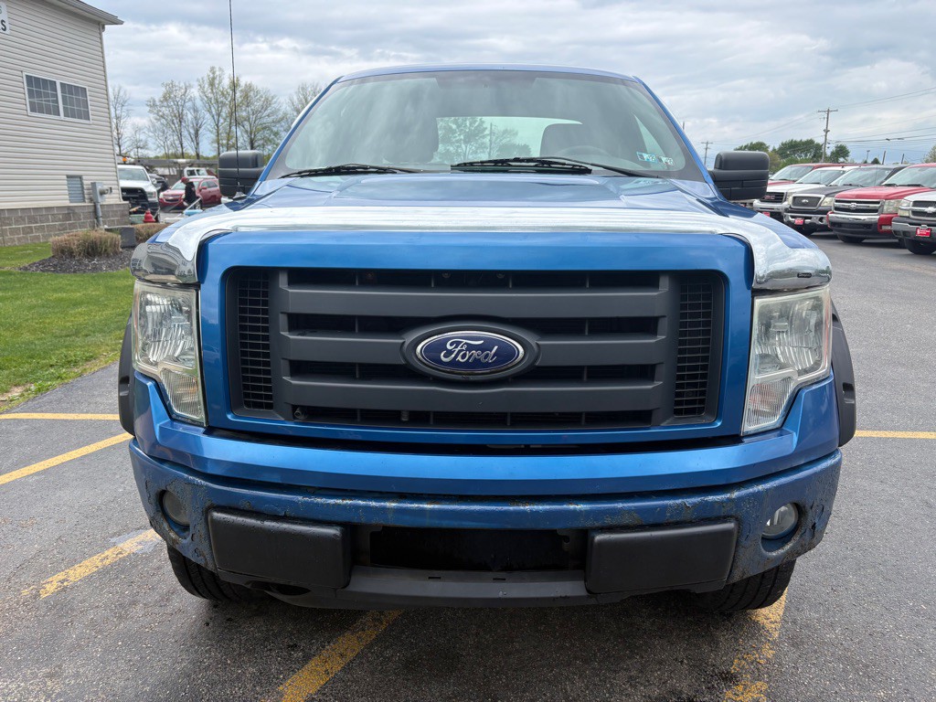 2010 Ford F-150 Image 3