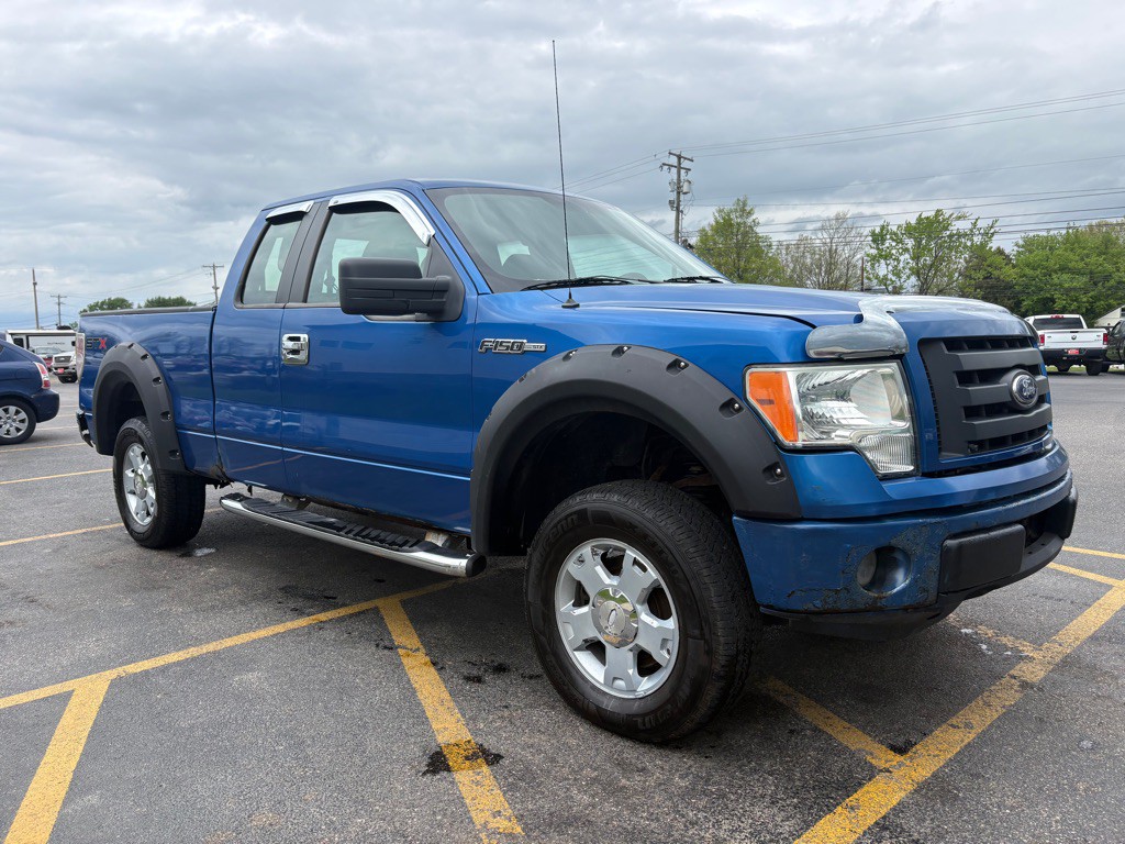 2010 Ford F-150 Image 4