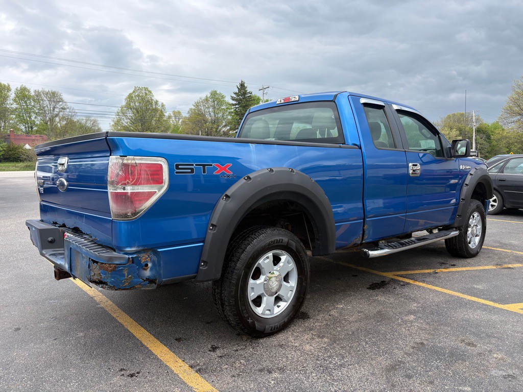 2010 Ford F-150 Image 6