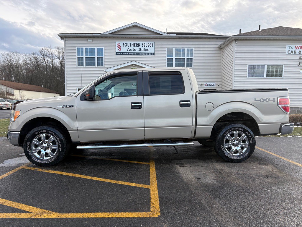 2010 Ford F-150 Image 1