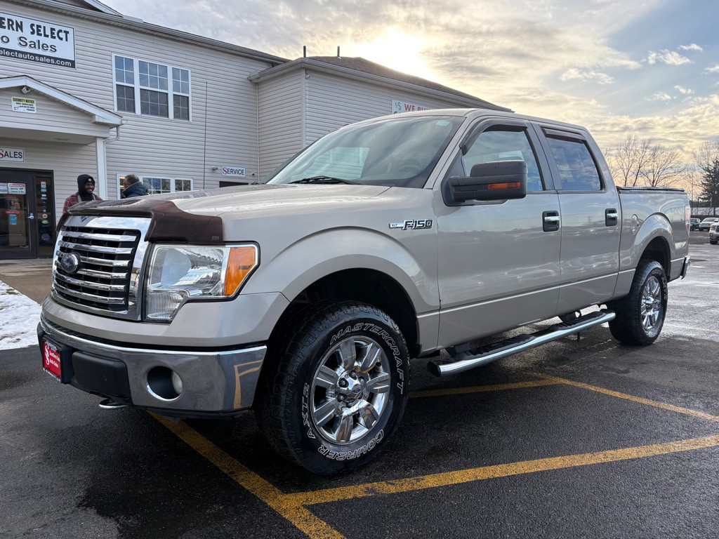2010 Ford F-150 Image 2