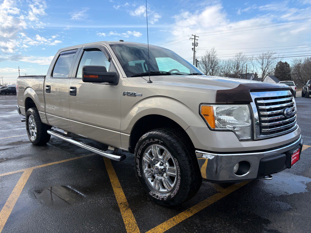 2010 Ford F-150 Image 4