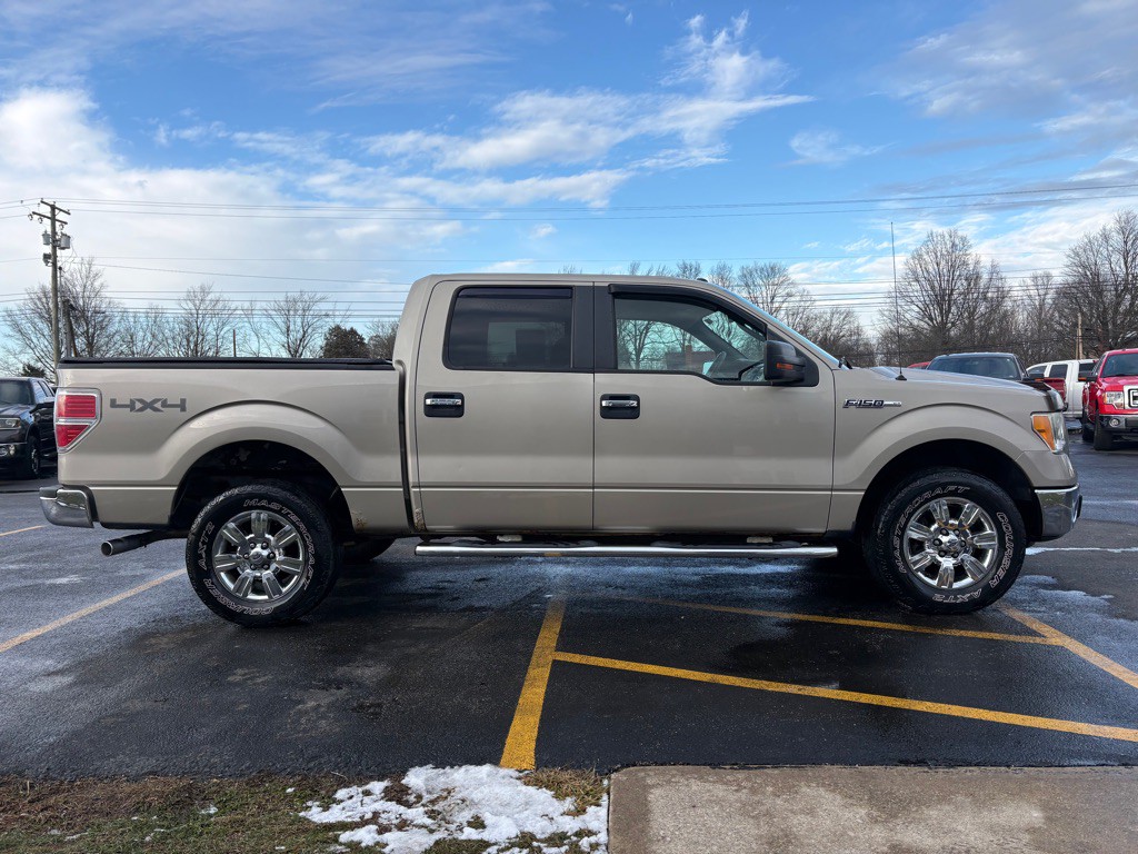 2010 Ford F-150 Image 5
