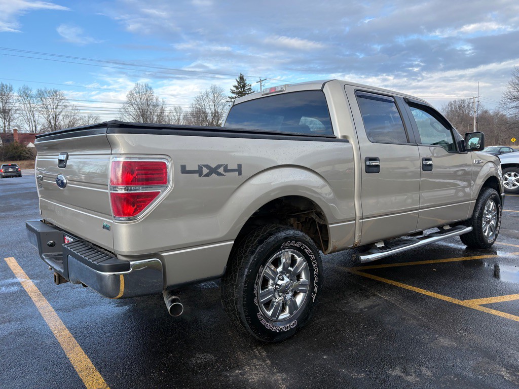 2010 Ford F-150 Image 6