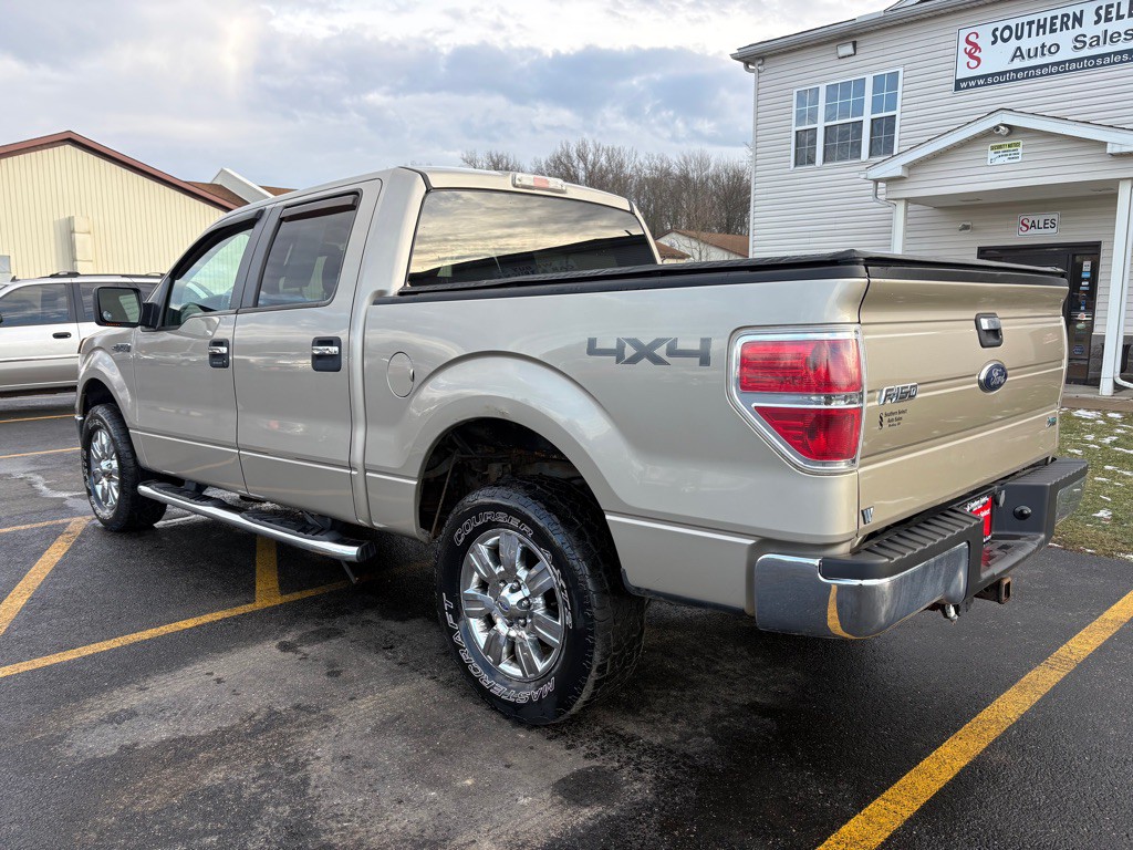 2010 Ford F-150 Image 8