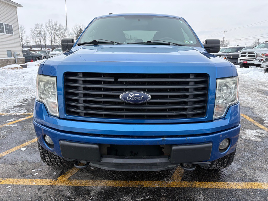 2014 Ford F-150 Image 3
