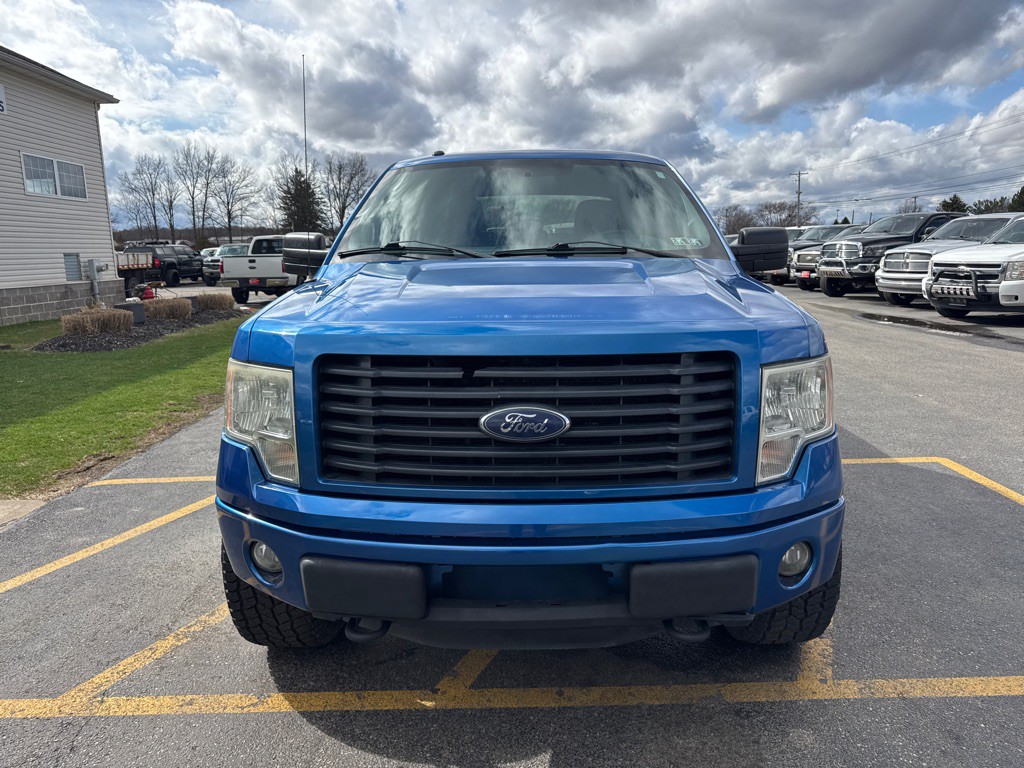2014 Ford F-150 Image 3