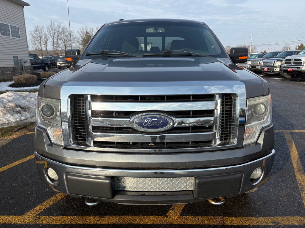 2014 Ford F-150 Image 3