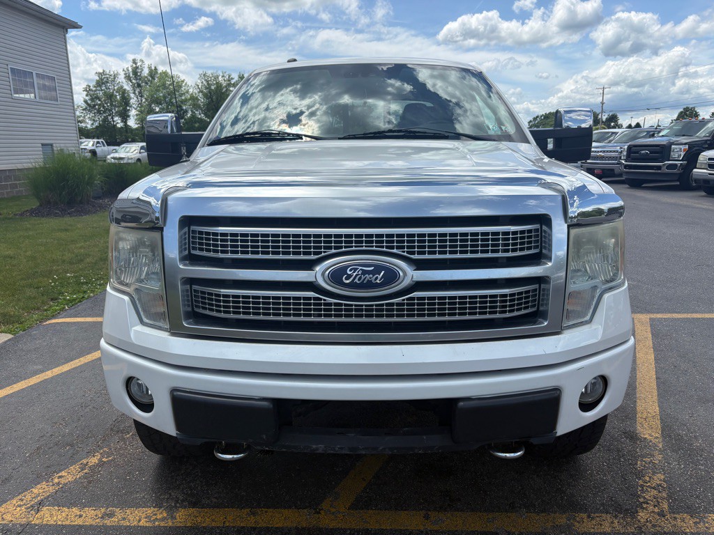2010 Ford F-150 Image 3