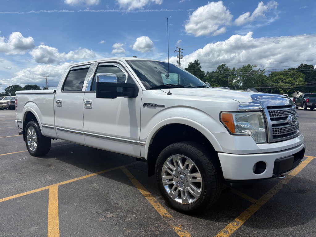 2010 Ford F-150 Image 4