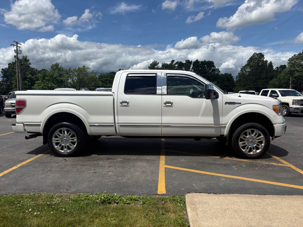 2010 Ford F-150 Image 5