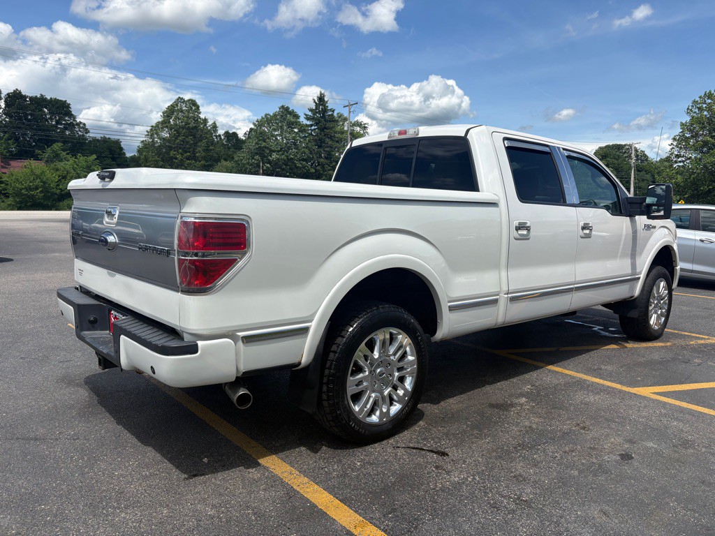 2010 Ford F-150 Image 6