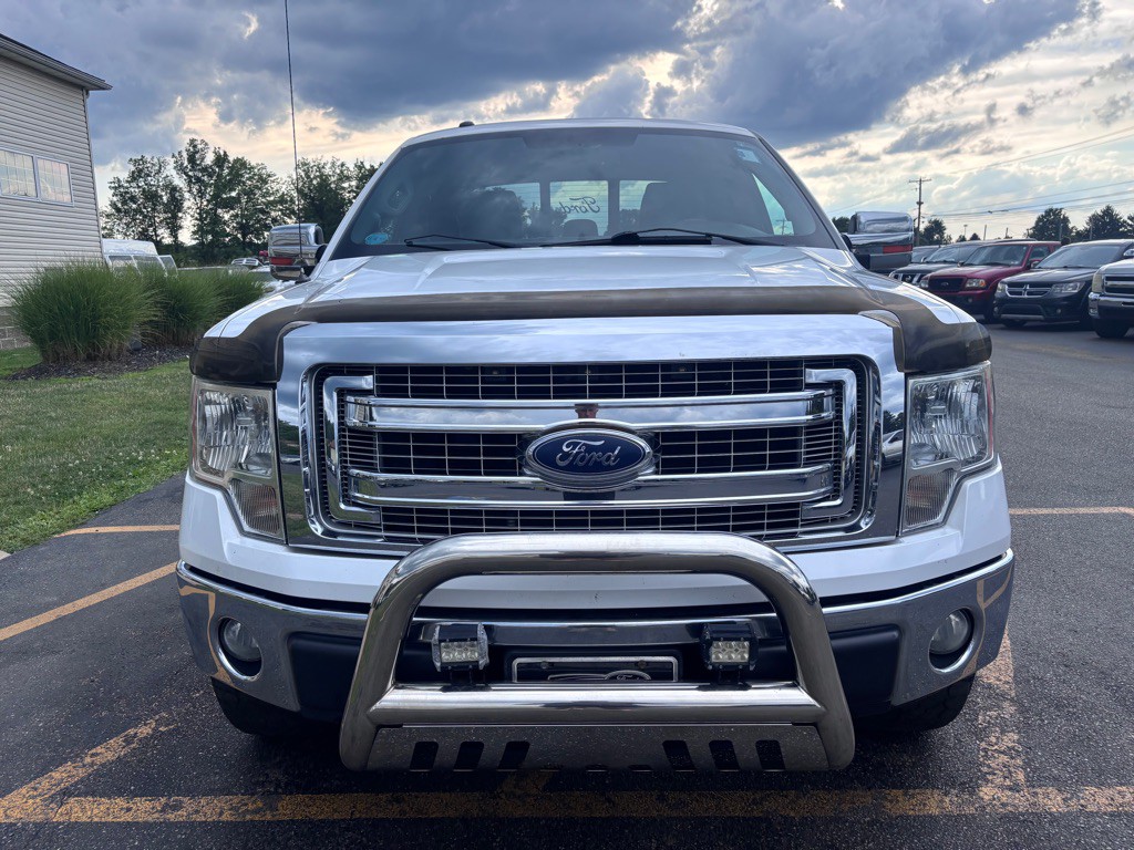 2014 Ford F-150 Image 3