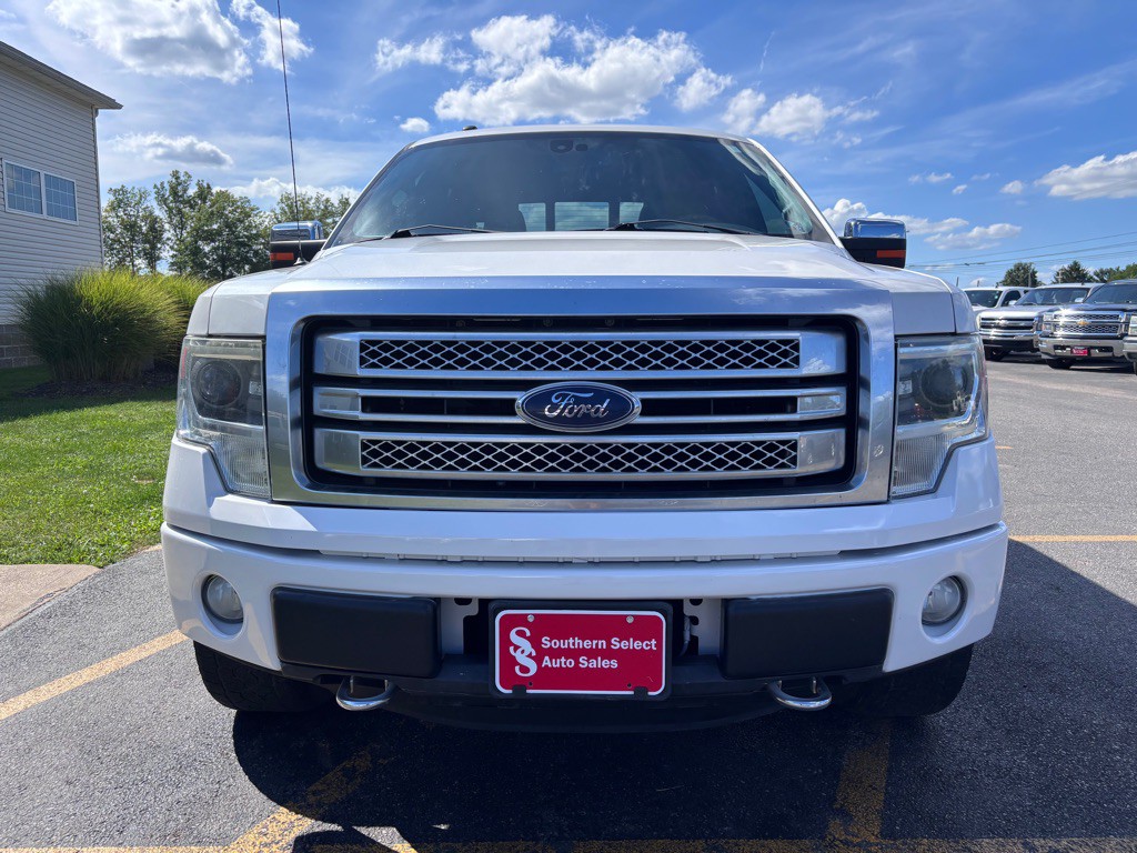 2013 Ford F-150 Image 3
