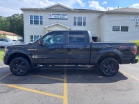 Image for 2013 Ford F-150 XLT ID: 7626217