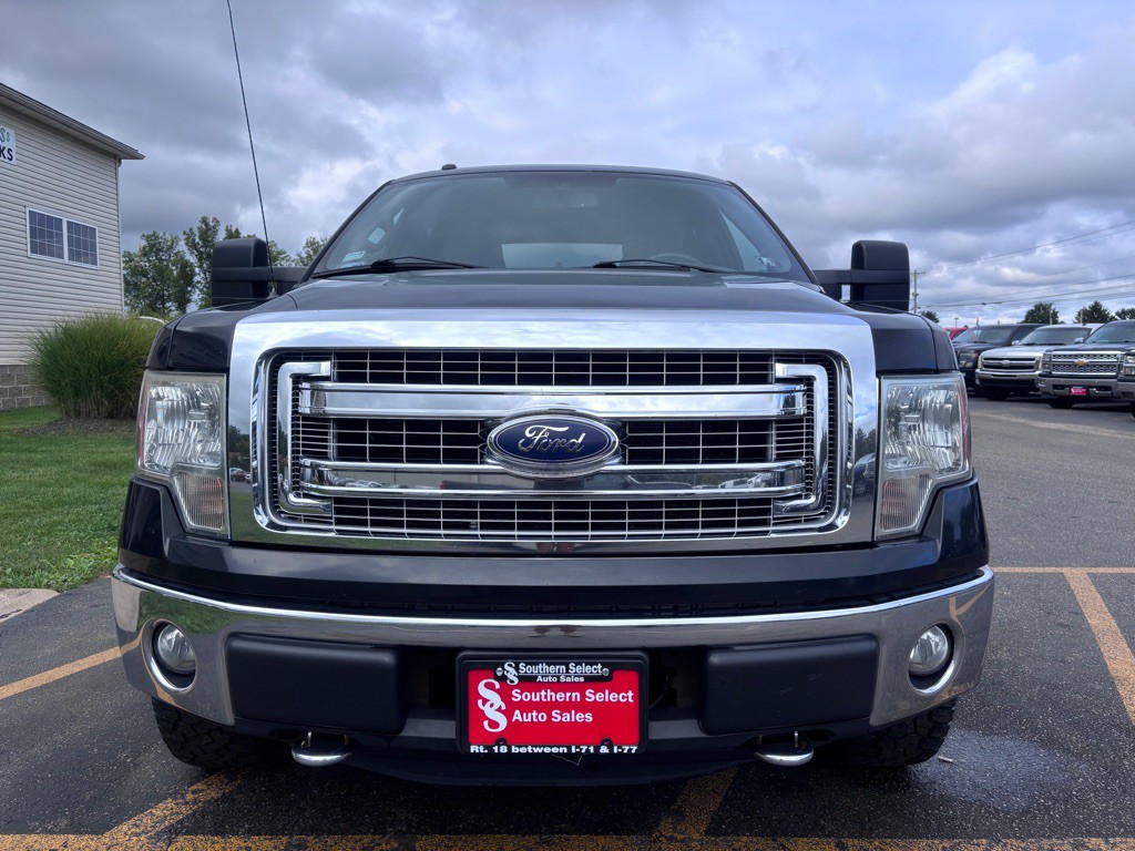 2014 Ford F-150 Image 3