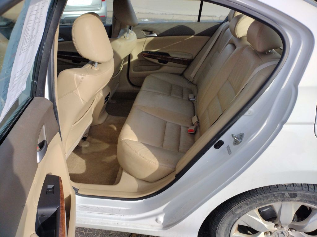 2010 Honda Accord Image 6