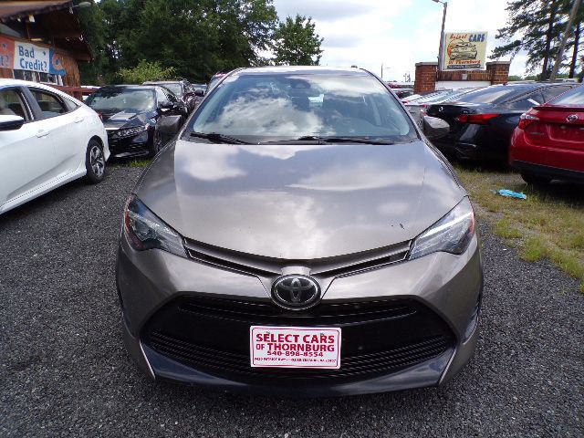 2019 Toyota Corolla Image 2