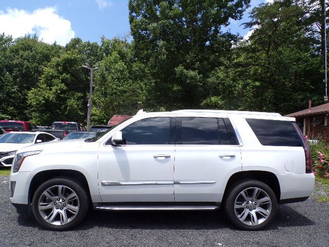 2016 Cadillac Escalade Image 7