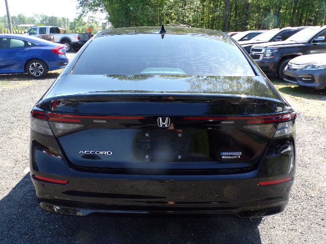 2024 Honda Accord Image 5