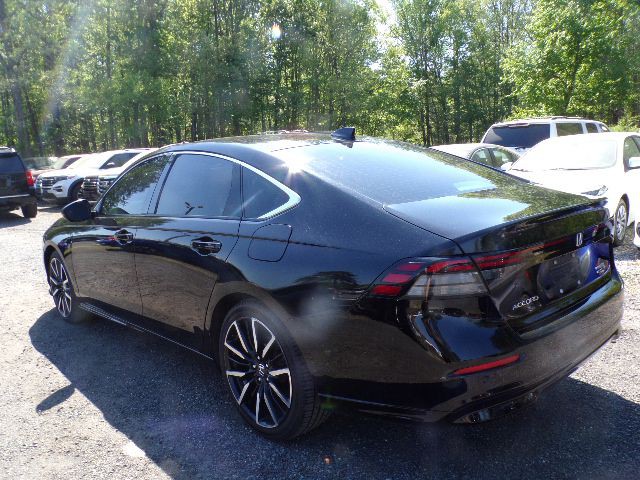 2024 Honda Accord Image 6