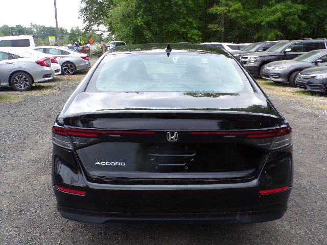 2024 Honda Accord Image 6