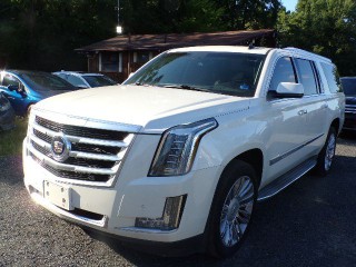Image for 2015 Cadillac Escalade Esv Luxury ID: 7576622