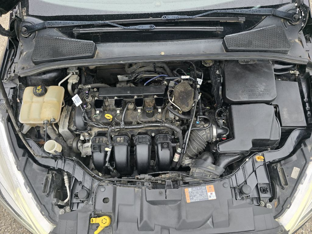 2016 Ford Focus Image 16