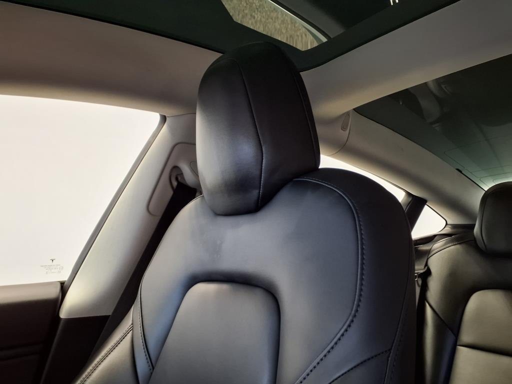 2020 Tesla Model 3 Image 12