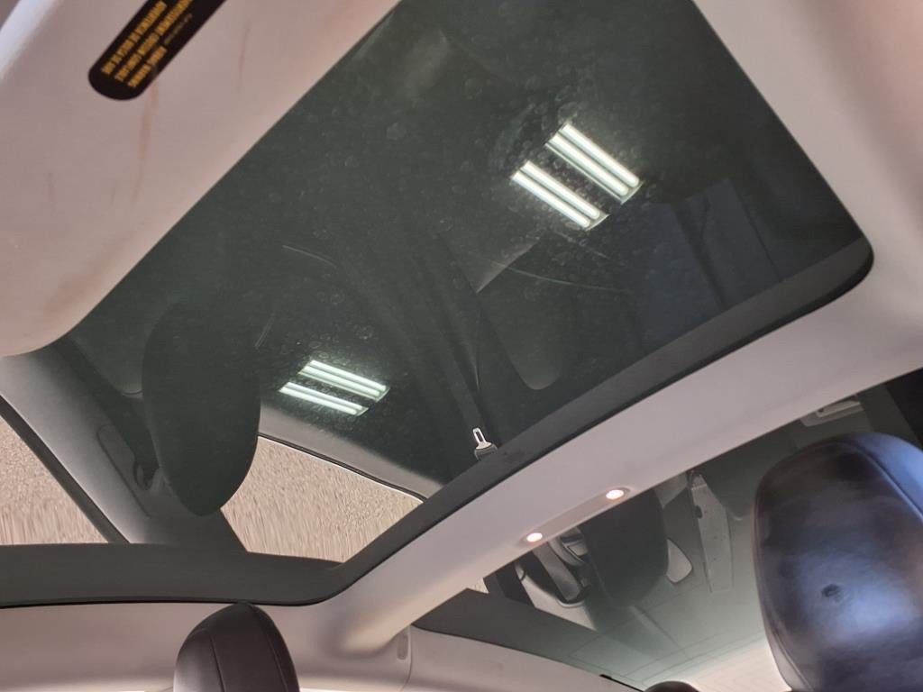 2020 Tesla Model 3 Image 13