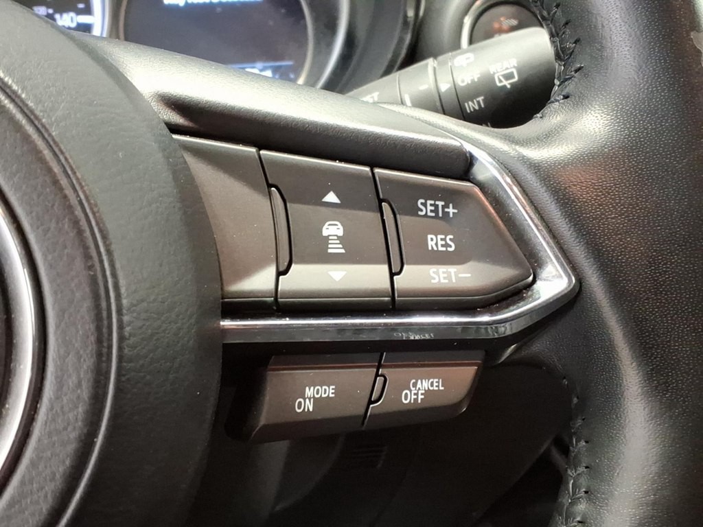 2019 Mazda CX-9 Image 12