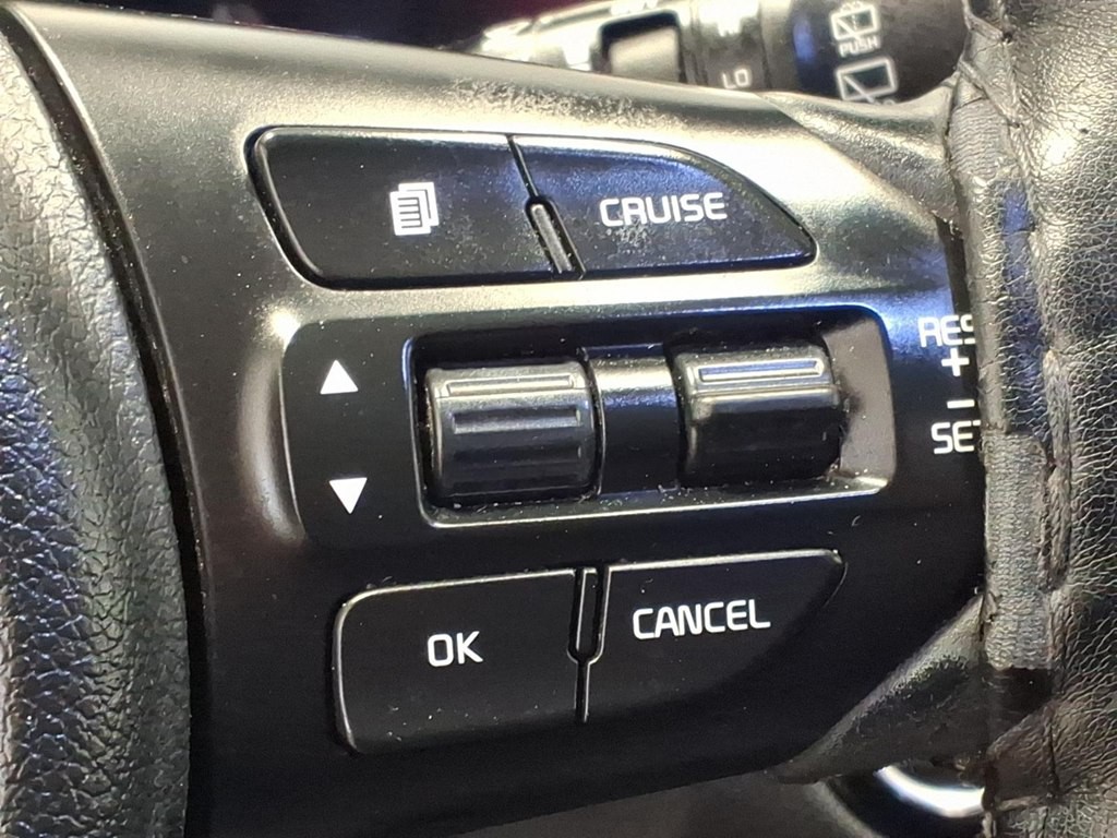 2017 Kia Sorento Image 12