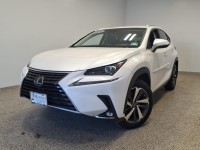 Image for 2019 Lexus NX 300 Premium Pkg ID: 7264814