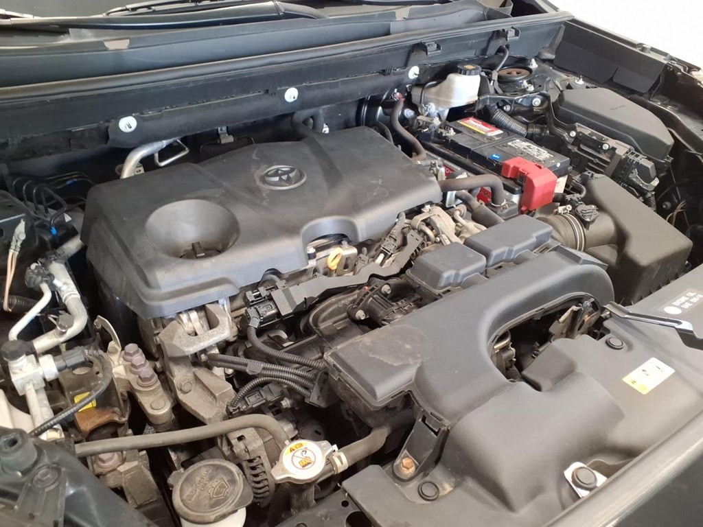 2019 Toyota Rav4 Image 19