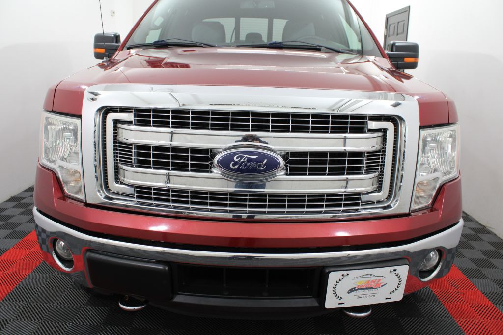 2014 Ford F-150 Image 3