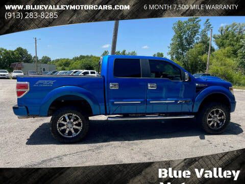2013 Ford F-150 Image 3