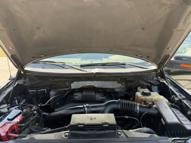 2013 Ford F-150 Image 8