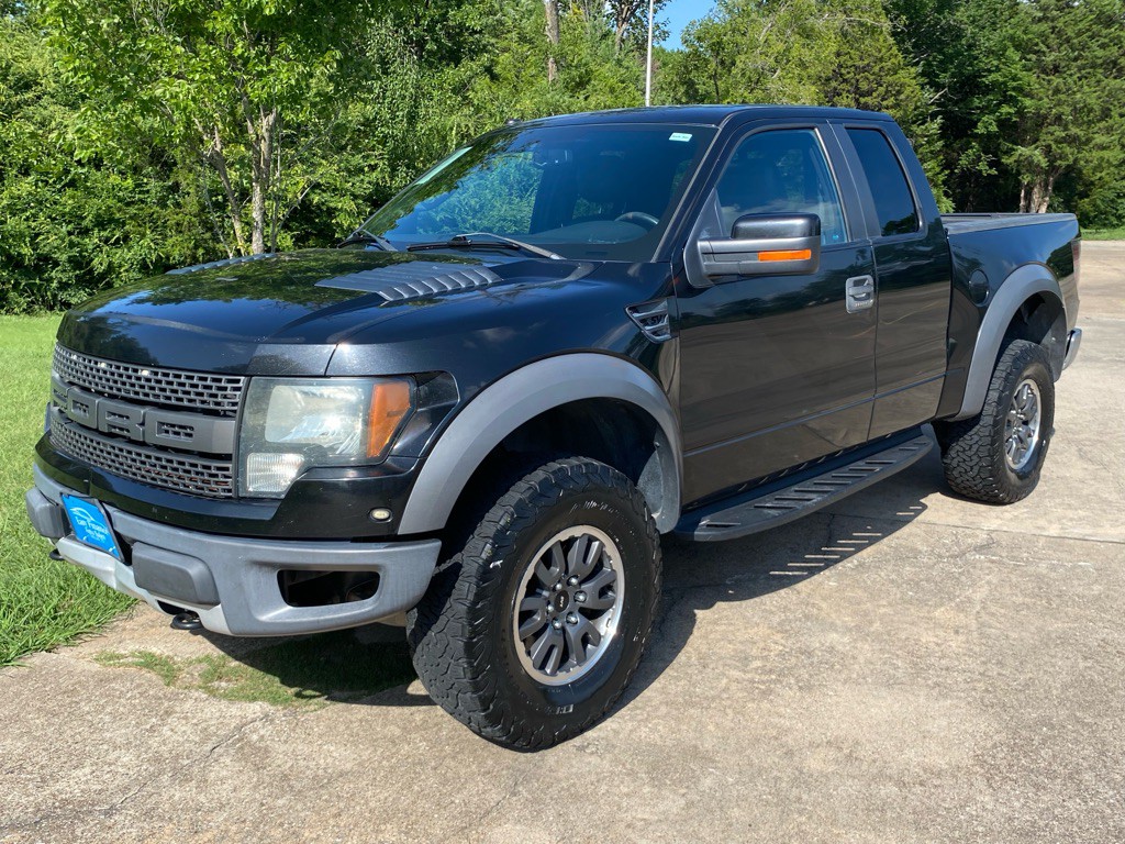 2010 Ford F-150 Image 1