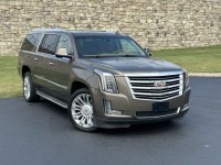 Image for 2015 Cadillac Escalade Esv Platinum ID: 6716196