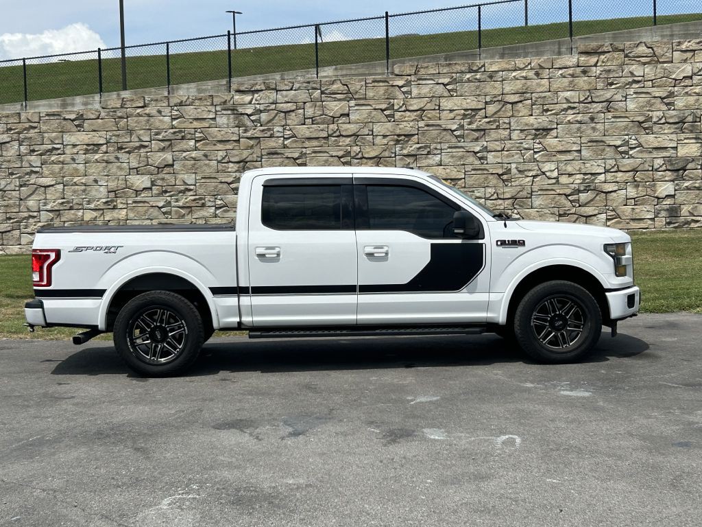 2017 Ford F-150 Image 3