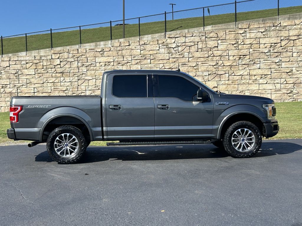 2019 Ford F-150 Image 3