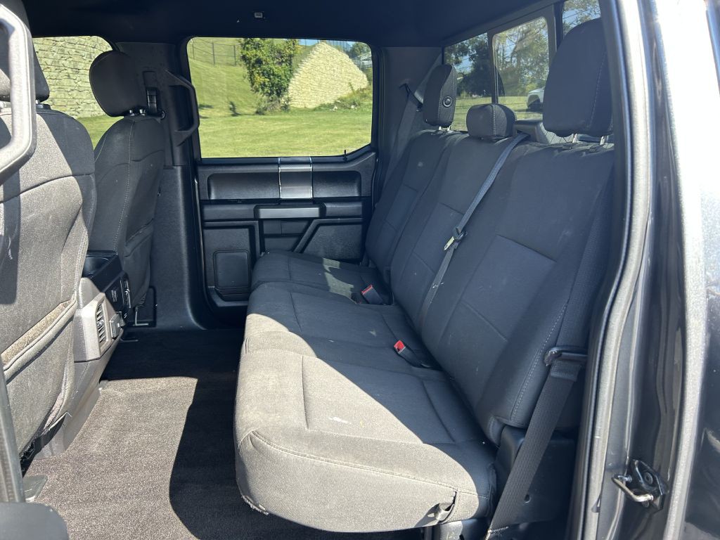2019 Ford F-150 Image 11