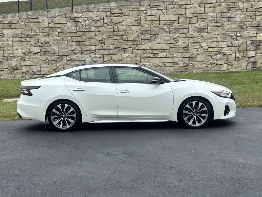 2019 Nissan Maxima Image 3
